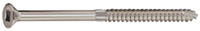 Stainless Steel Square Drive Wood Screws