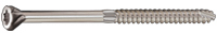 Stainless Steel Star Drive Wood Screws