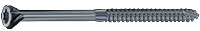 Star Drive Wood Screws with ACQ Rated Finish