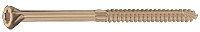 Star Drive Wood Screws with ACQ Rated Finish